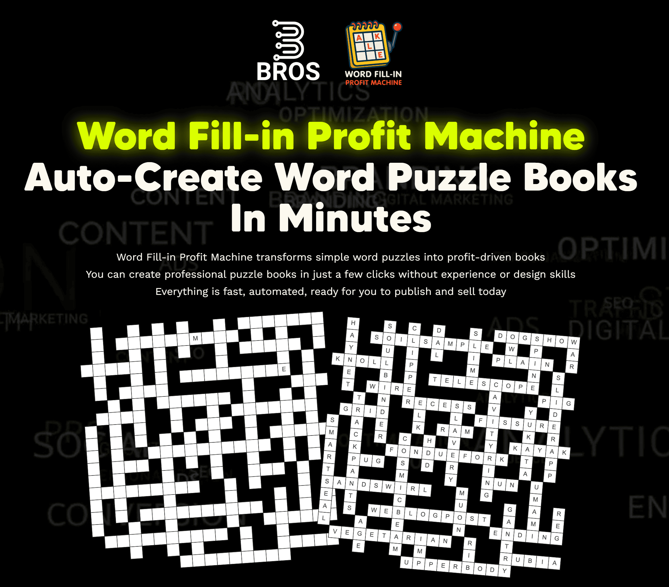 Promotional image showcasing the Word Fill-in Profit Machine software that auto-creates professional word puzzle books quickly and easily.